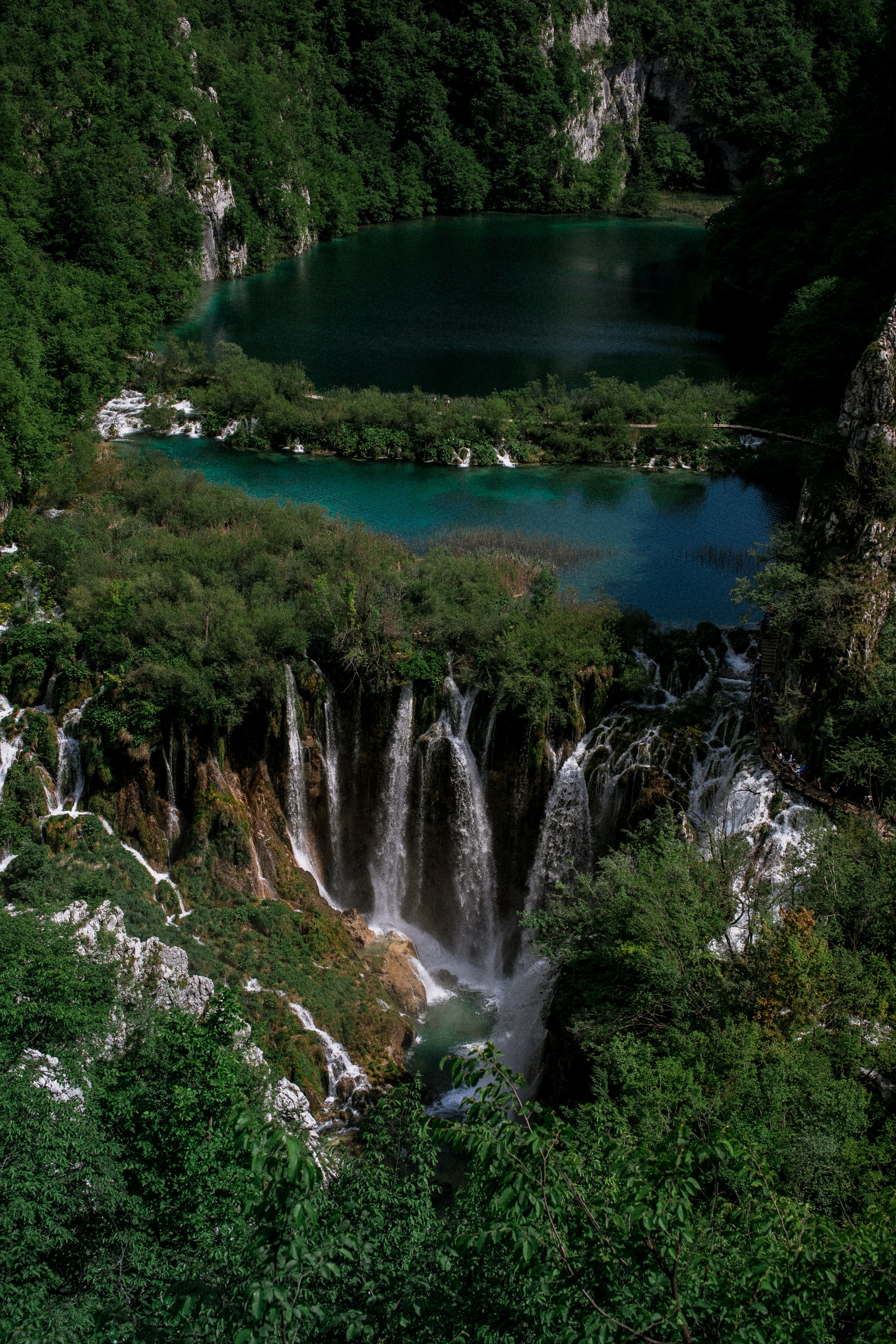 Amazing waterfall flowing among green vegetation
